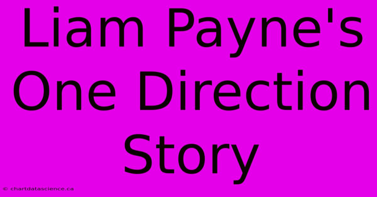 Liam Payne's One Direction Story