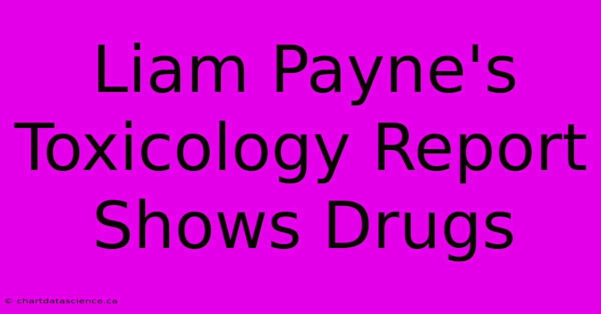 Liam Payne's Toxicology Report Shows Drugs