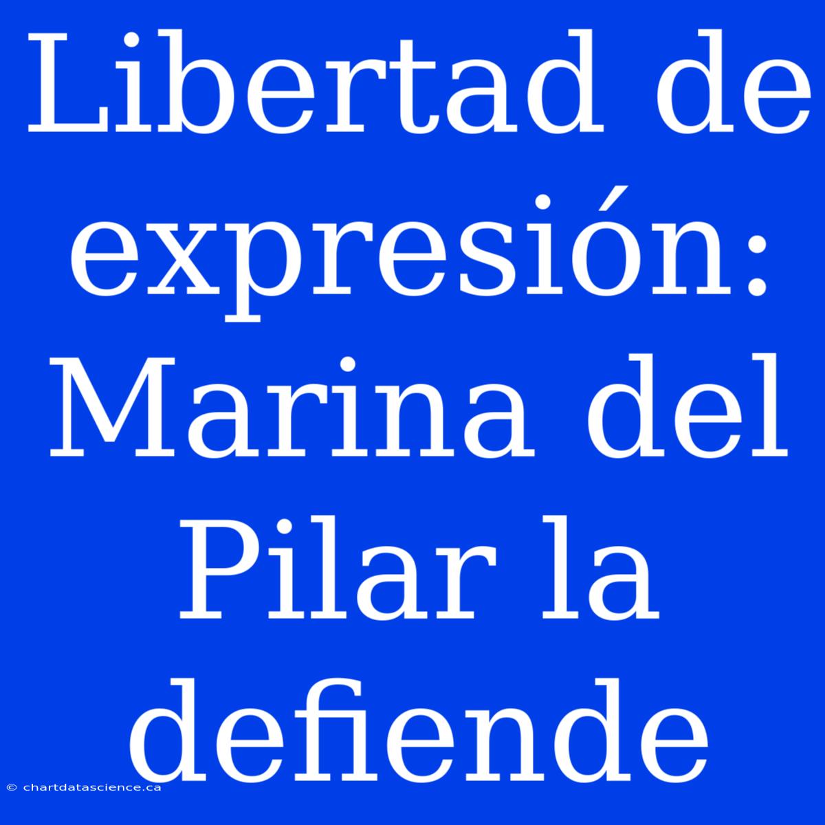 Libertad De Expresión: Marina Del Pilar La Defiende