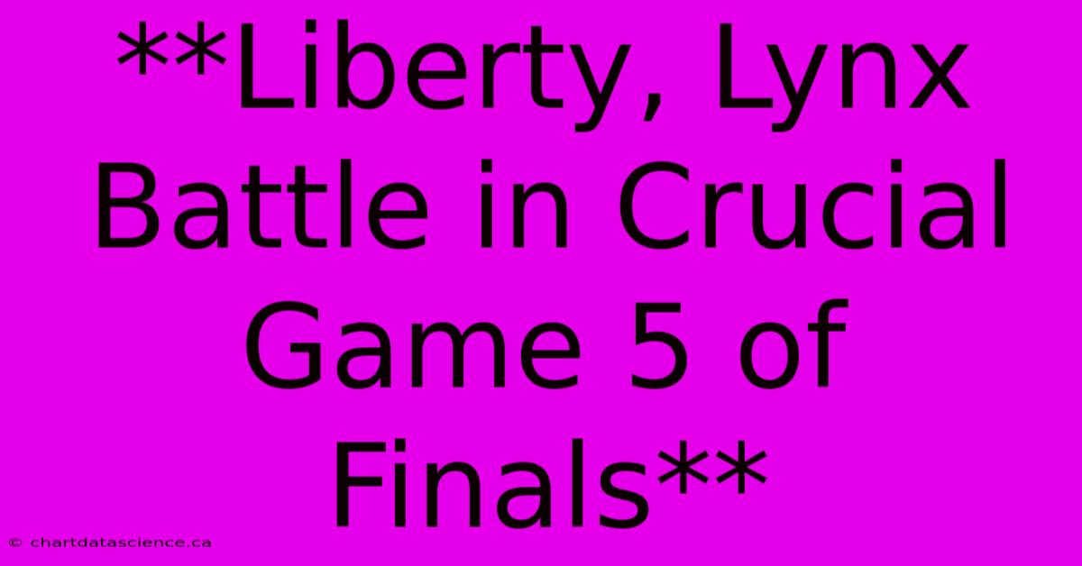 **Liberty, Lynx Battle In Crucial Game 5 Of Finals** 