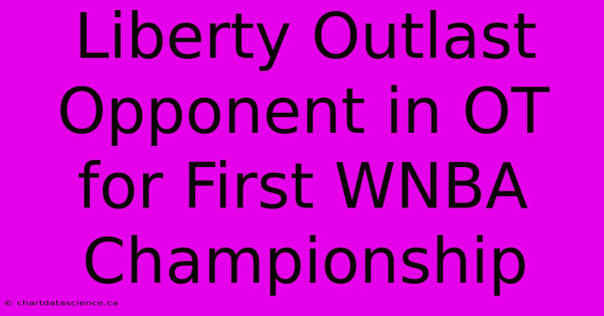 Liberty Outlast Opponent In OT For First WNBA Championship