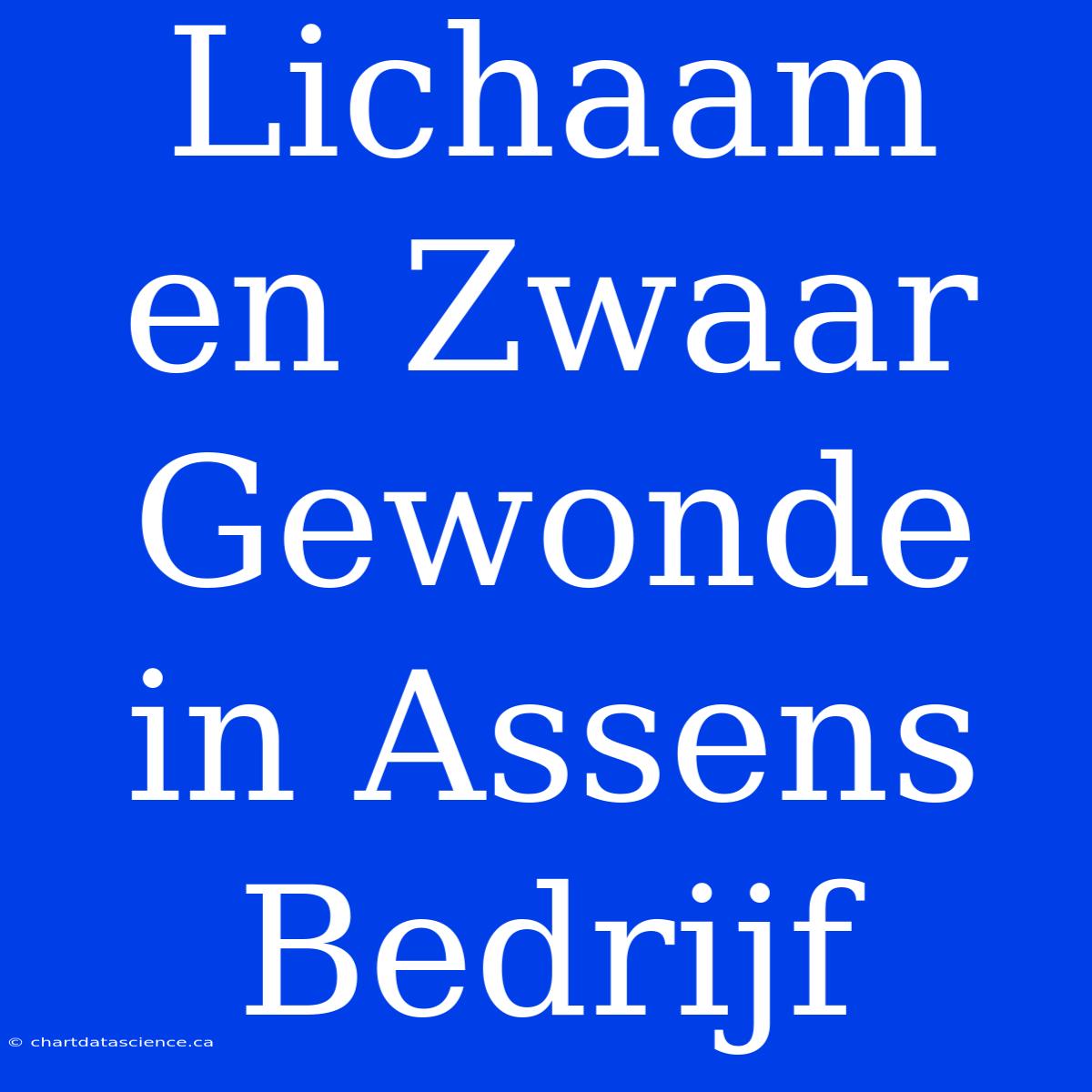 Lichaam En Zwaar Gewonde In Assens Bedrijf