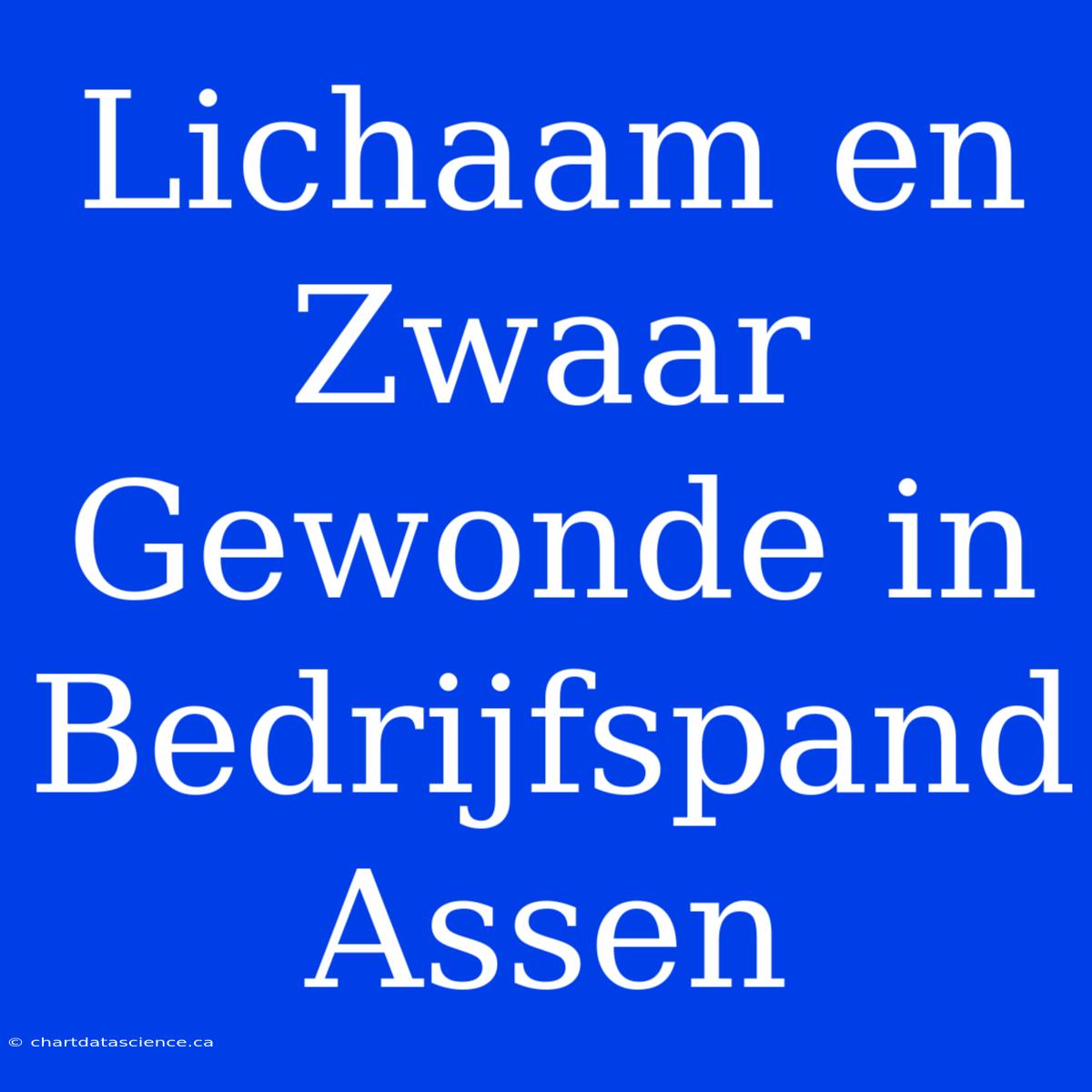 Lichaam En Zwaar Gewonde In Bedrijfspand Assen