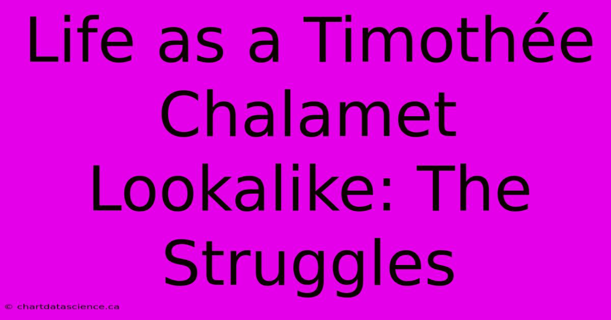 Life As A Timothée Chalamet Lookalike: The Struggles