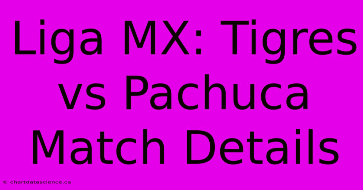 Liga MX: Tigres Vs Pachuca Match Details