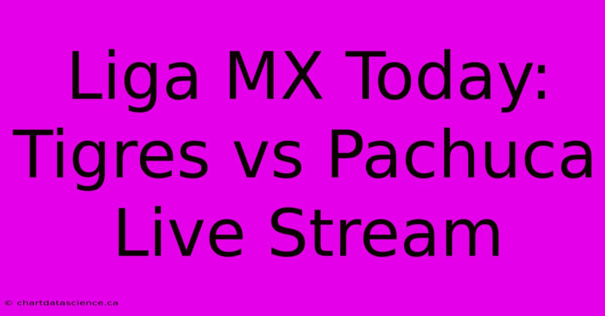 Liga MX Today: Tigres Vs Pachuca Live Stream