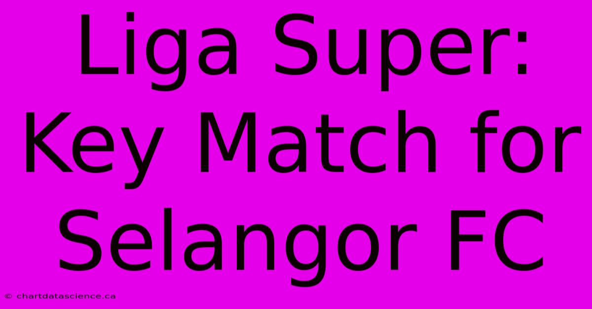 Liga Super: Key Match For Selangor FC