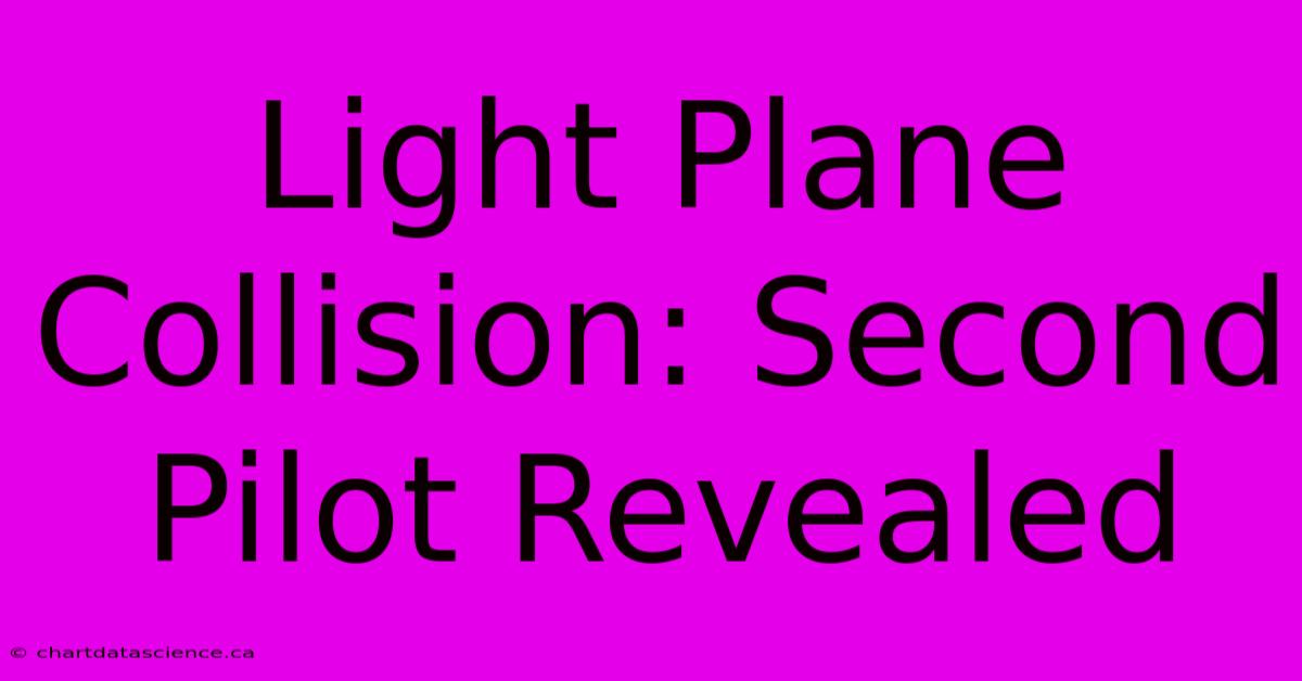 Light Plane Collision: Second Pilot Revealed