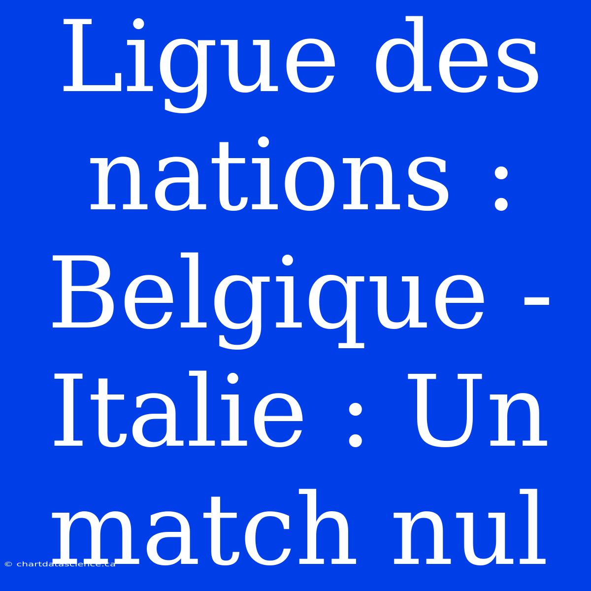 Ligue Des Nations : Belgique - Italie : Un Match Nul