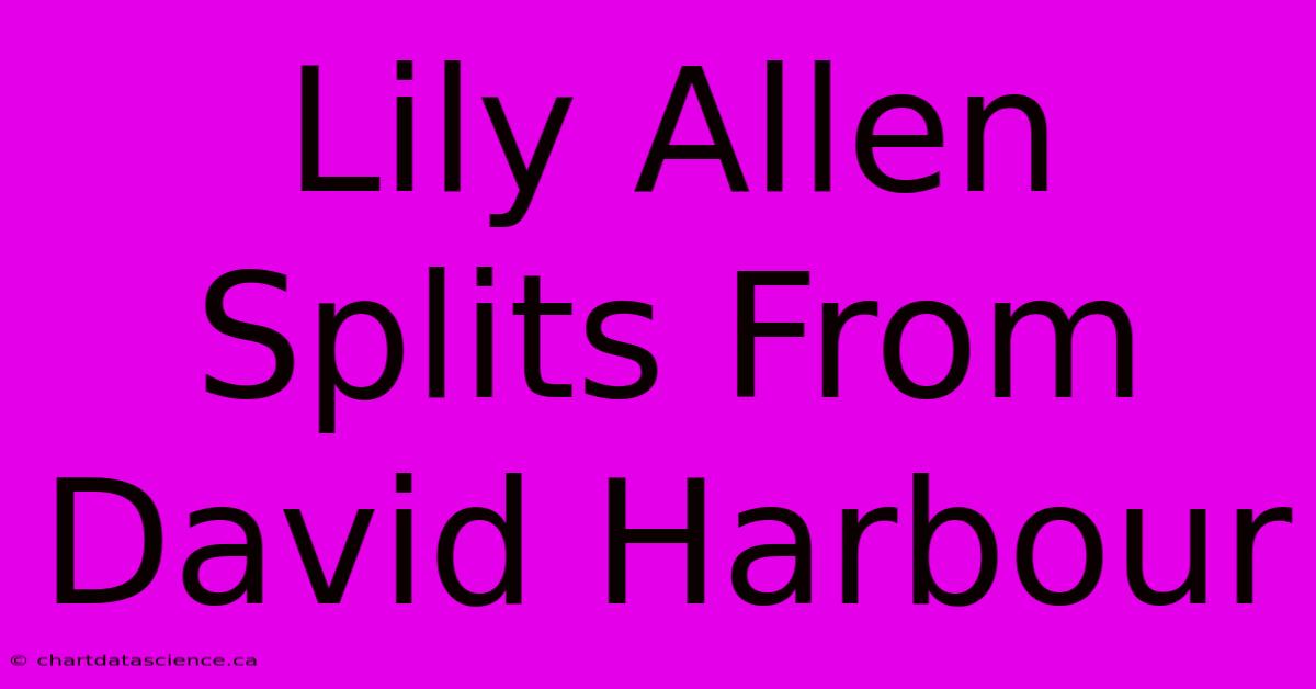 Lily Allen Splits From David Harbour