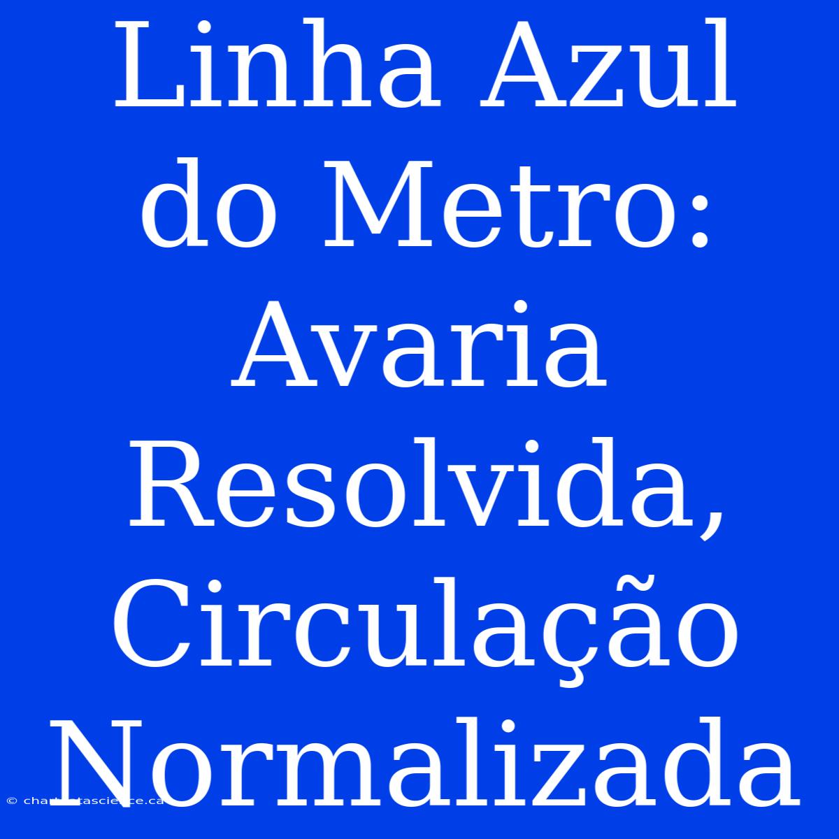 Linha Azul Do Metro: Avaria Resolvida, Circulação Normalizada