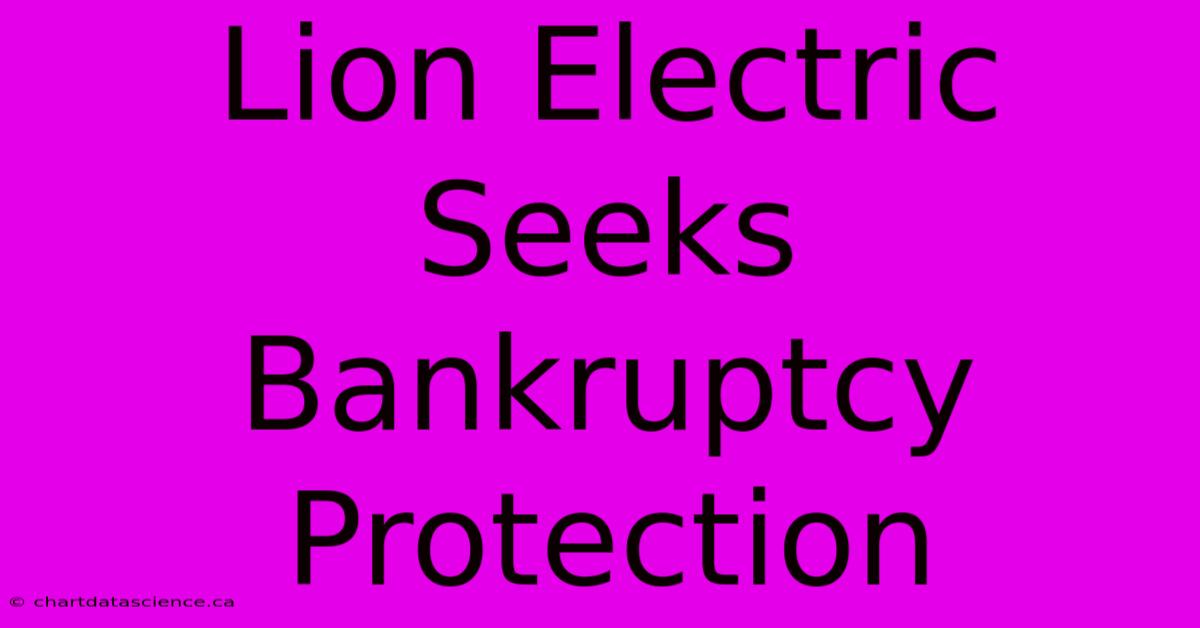 Lion Electric Seeks Bankruptcy Protection