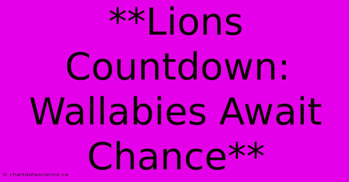 **Lions Countdown: Wallabies Await Chance**