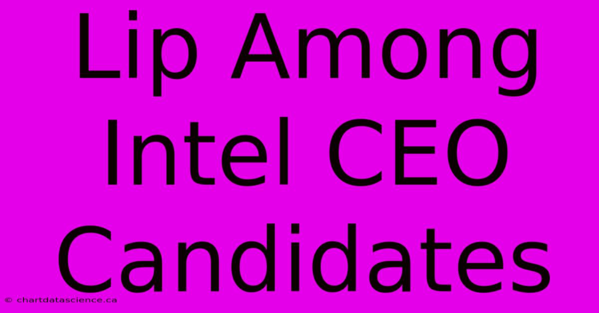 Lip Among Intel CEO Candidates