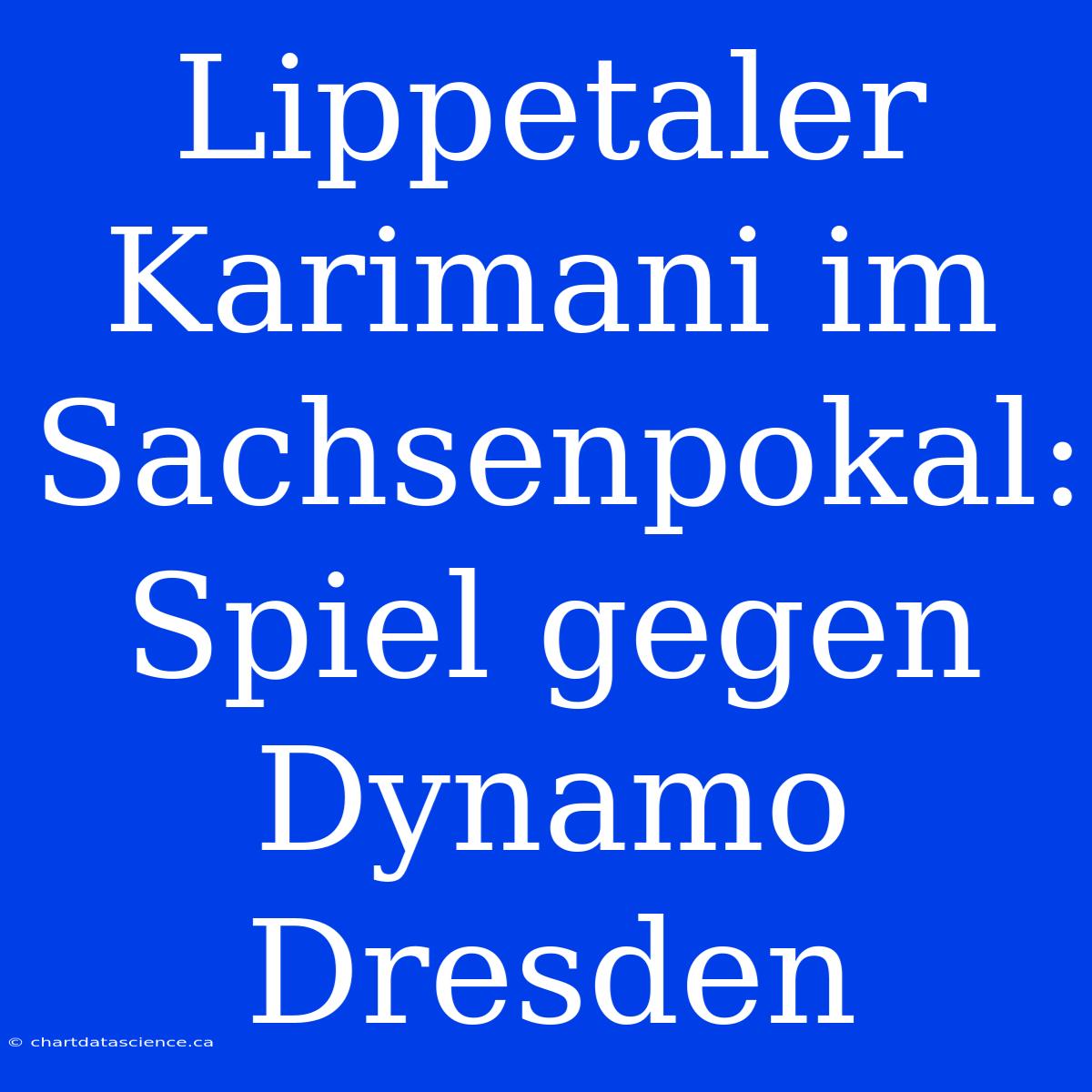 Lippetaler Karimani Im Sachsenpokal: Spiel Gegen Dynamo Dresden