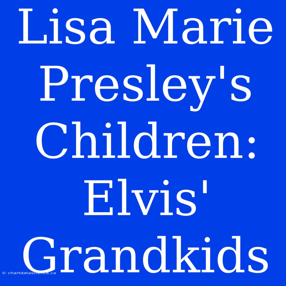 Lisa Marie Presley's Children: Elvis' Grandkids