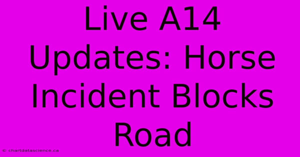 Live A14 Updates: Horse Incident Blocks Road