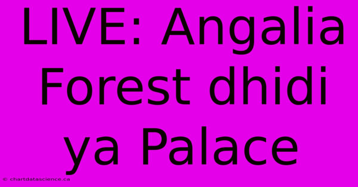 LIVE: Angalia Forest Dhidi Ya Palace 