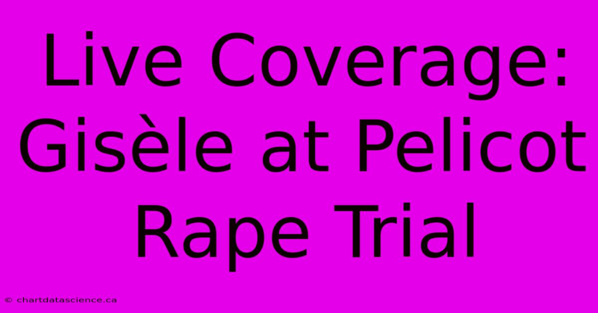 Live Coverage: Gisèle At Pelicot Rape Trial