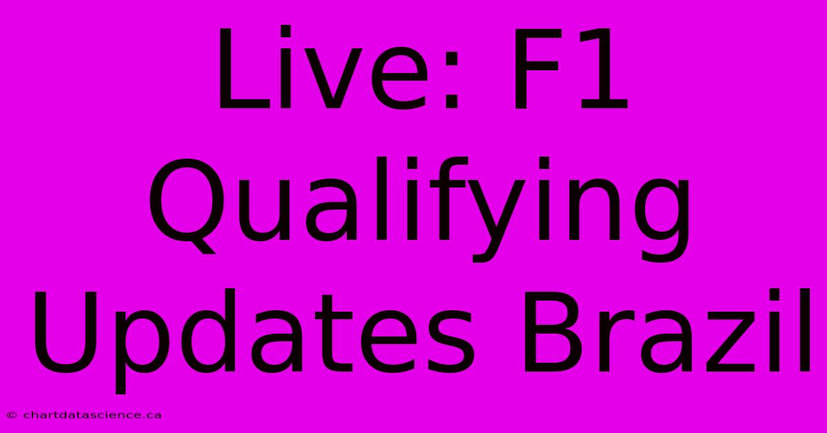 Live: F1 Qualifying Updates Brazil