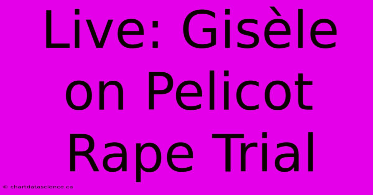 Live: Gisèle On Pelicot Rape Trial