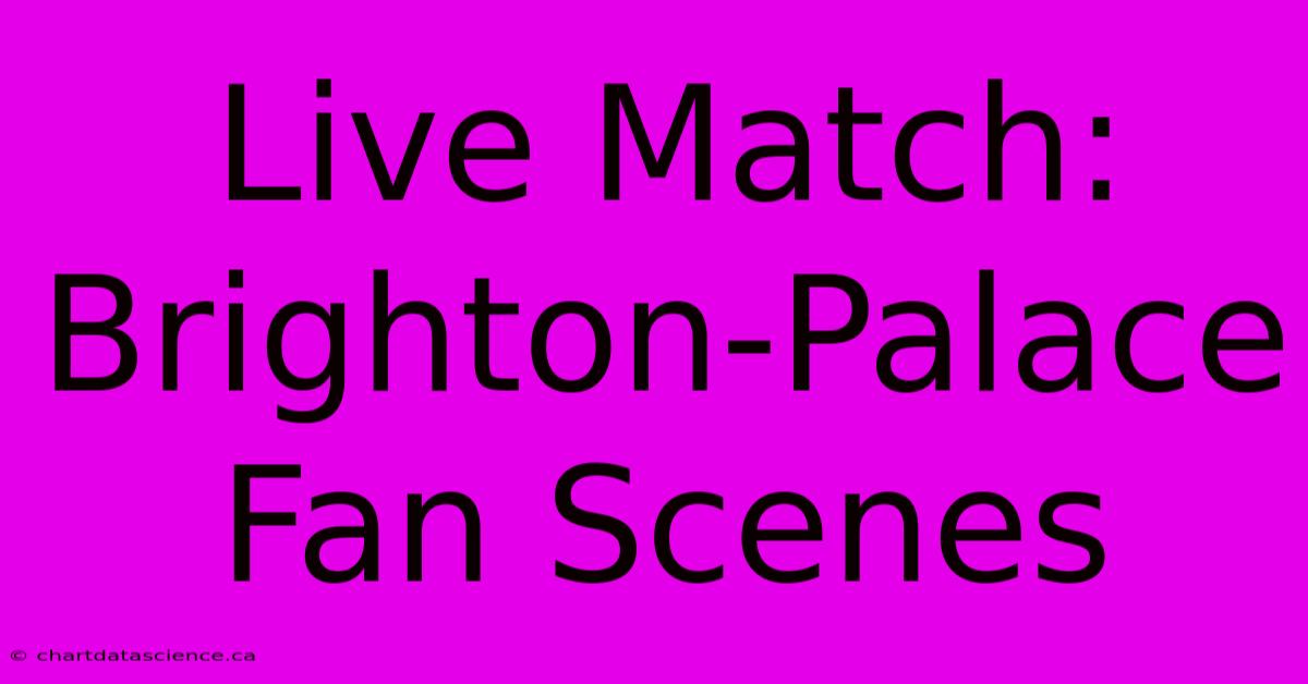 Live Match: Brighton-Palace Fan Scenes