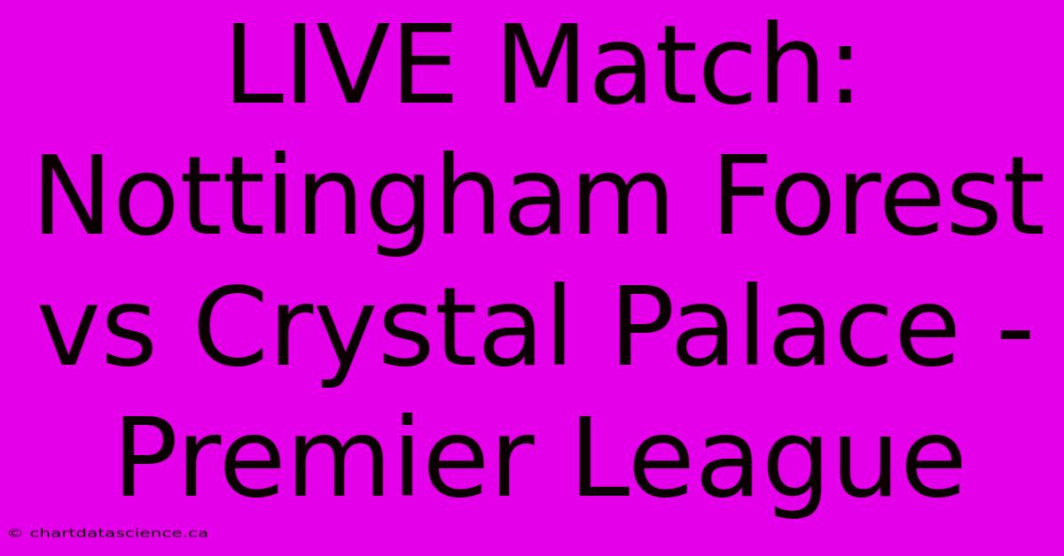 LIVE Match: Nottingham Forest Vs Crystal Palace - Premier League