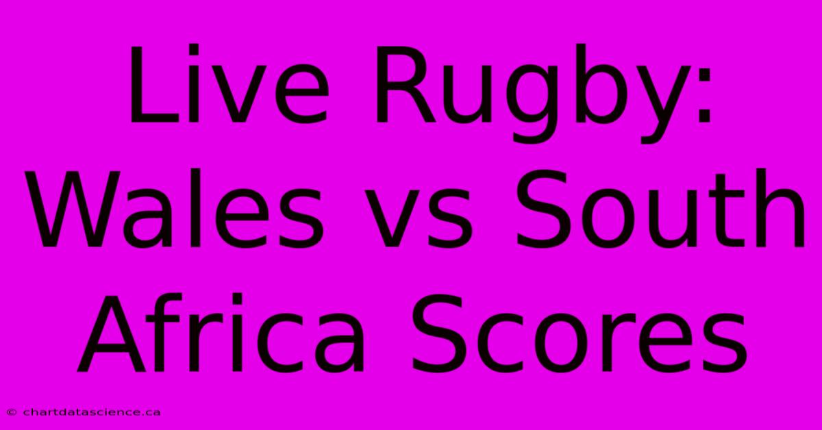 Live Rugby: Wales Vs South Africa Scores