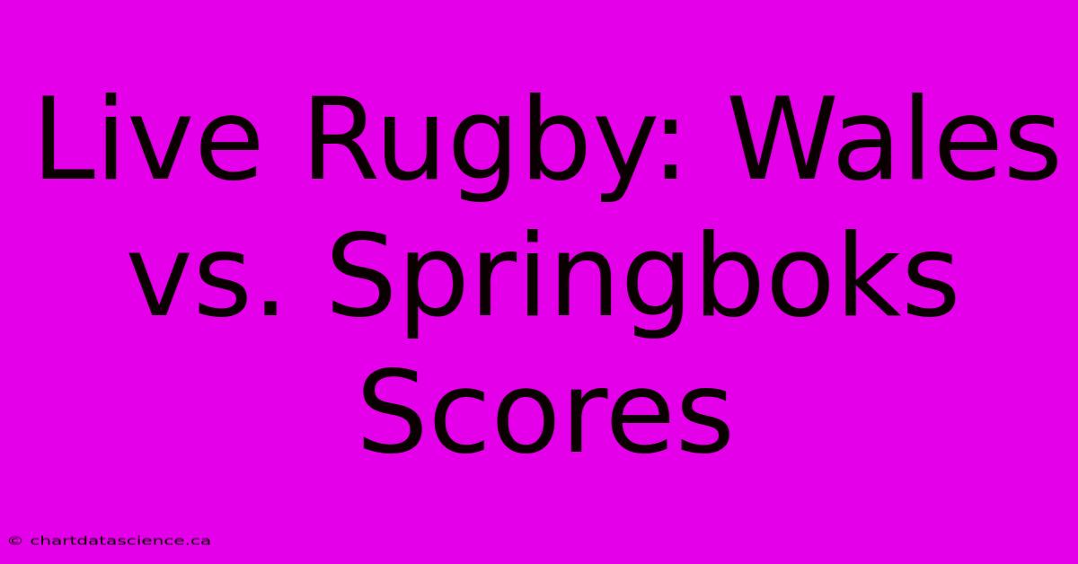 Live Rugby: Wales Vs. Springboks Scores