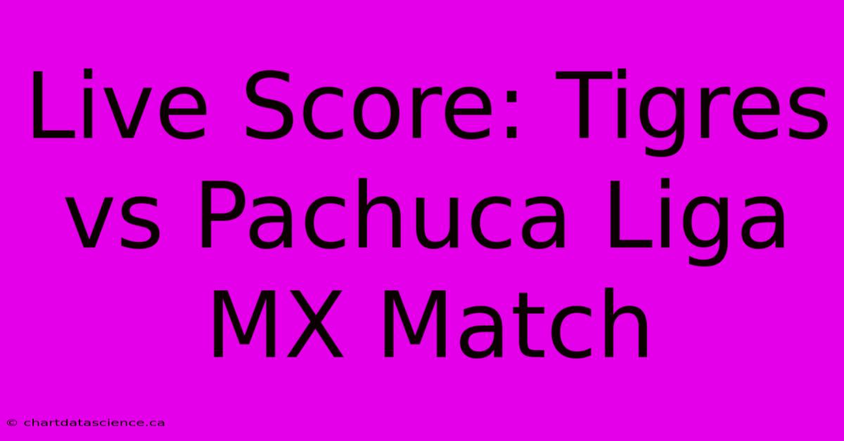 Live Score: Tigres Vs Pachuca Liga MX Match