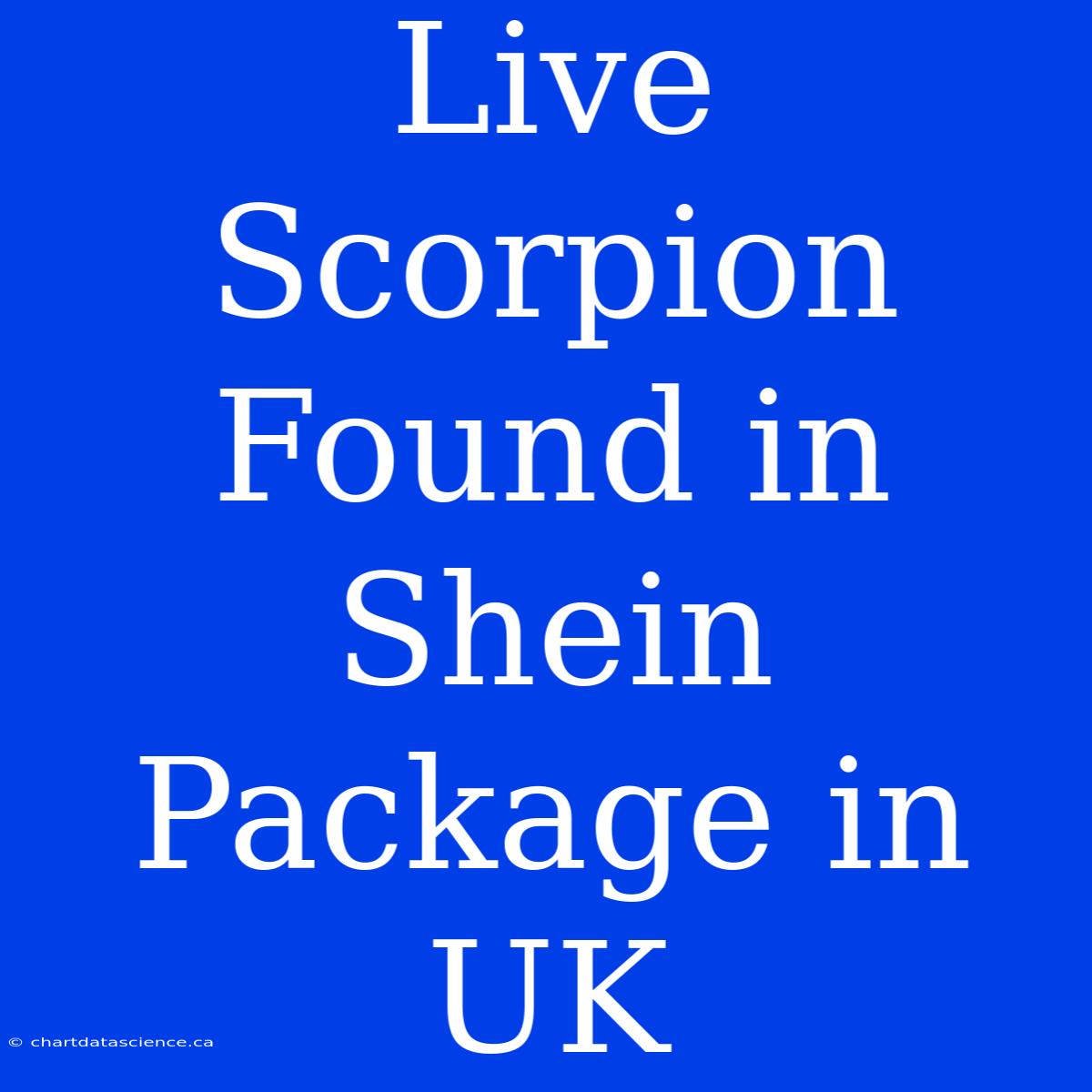 Live Scorpion Found In Shein Package In UK