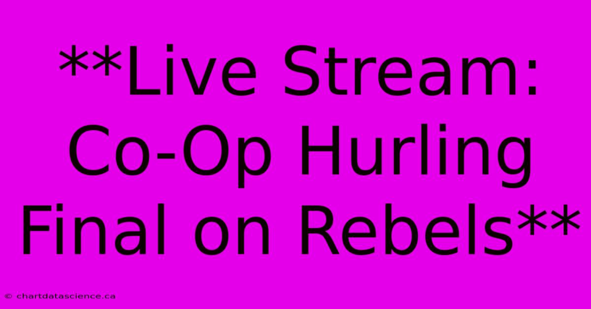 **Live Stream: Co-Op Hurling Final On Rebels**