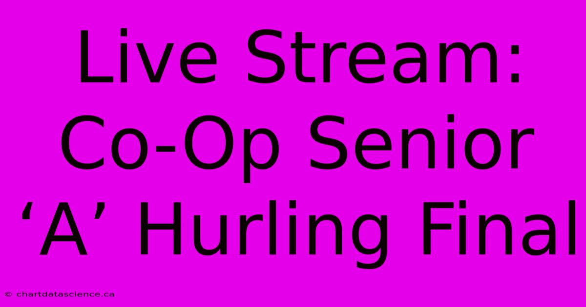 Live Stream: Co-Op Senior ‘A’ Hurling Final 