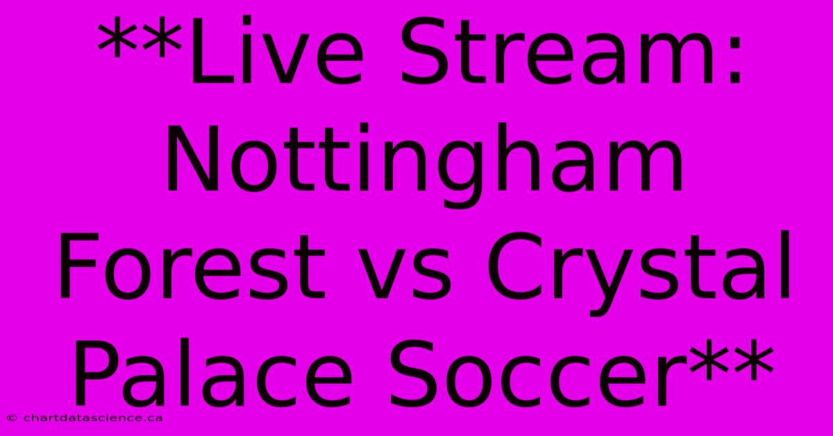 **Live Stream: Nottingham Forest Vs Crystal Palace Soccer**