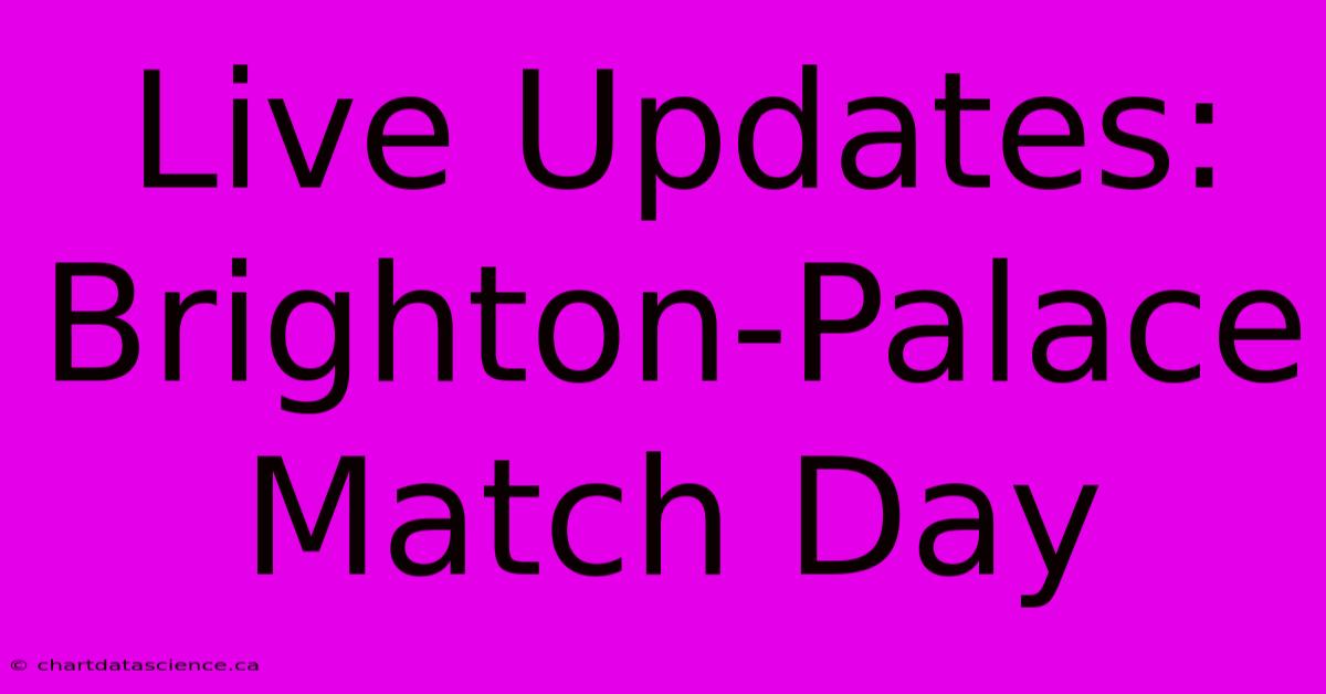 Live Updates: Brighton-Palace Match Day