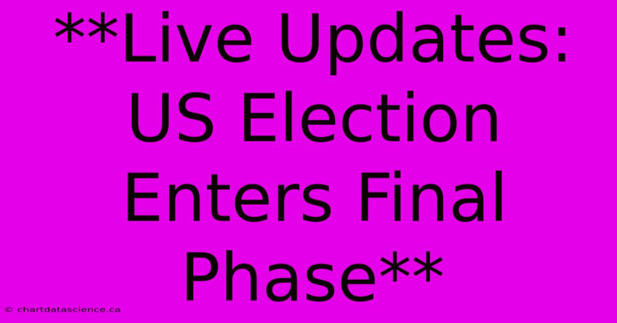 **Live Updates: US Election Enters Final Phase**