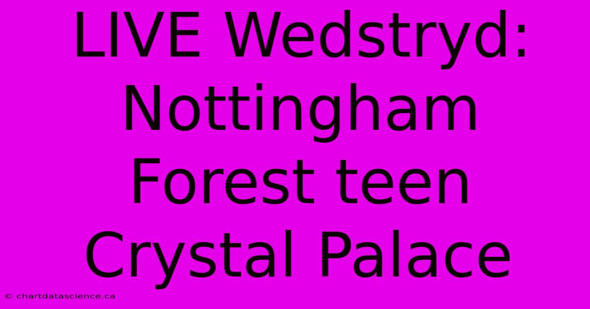 LIVE Wedstryd: Nottingham Forest Teen Crystal Palace 