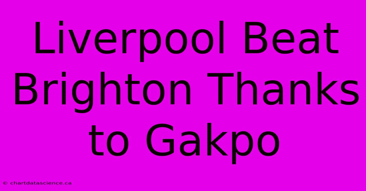 Liverpool Beat Brighton Thanks To Gakpo