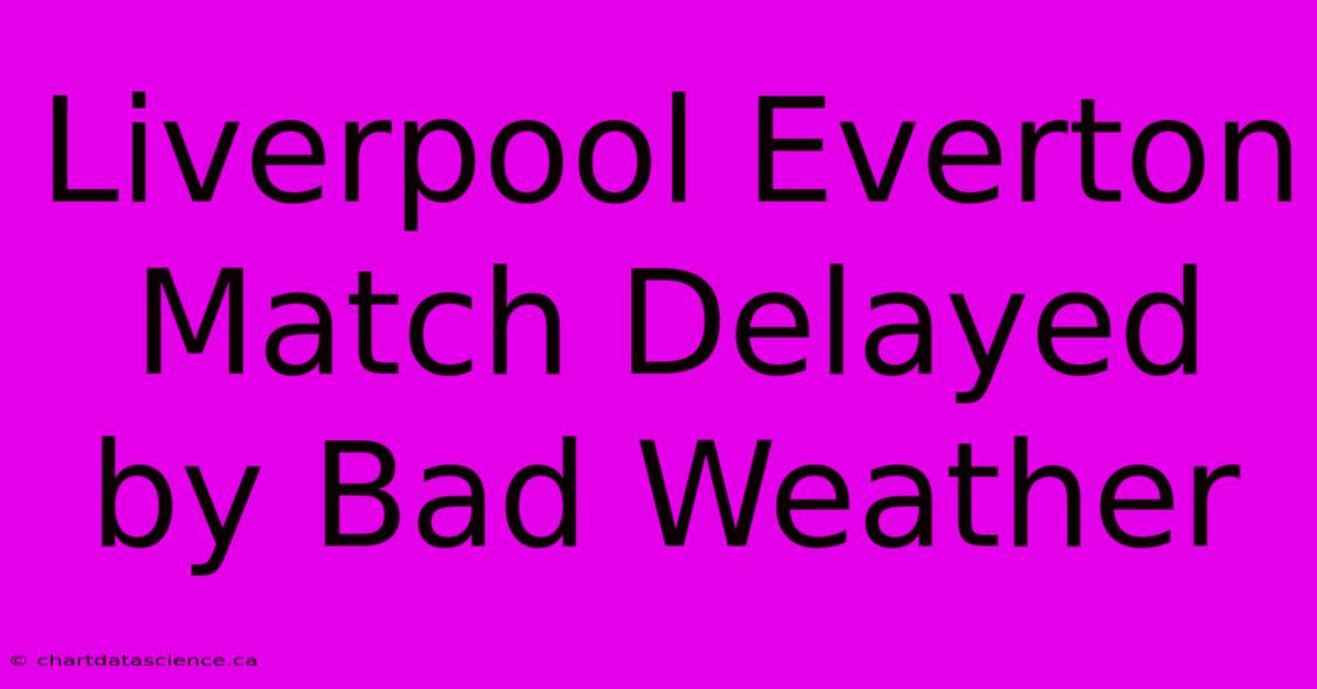 Liverpool Everton Match Delayed By Bad Weather