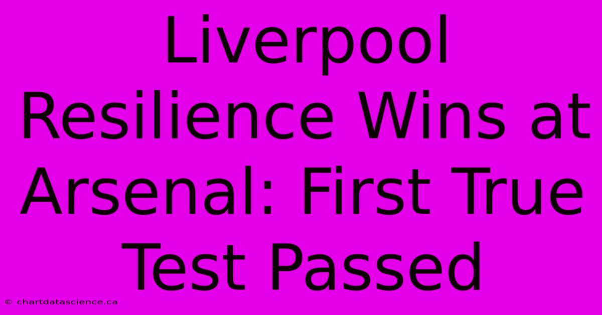 Liverpool Resilience Wins At Arsenal: First True Test Passed