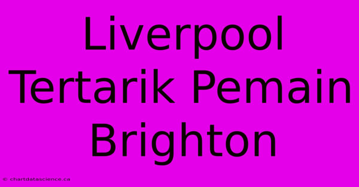 Liverpool Tertarik Pemain Brighton