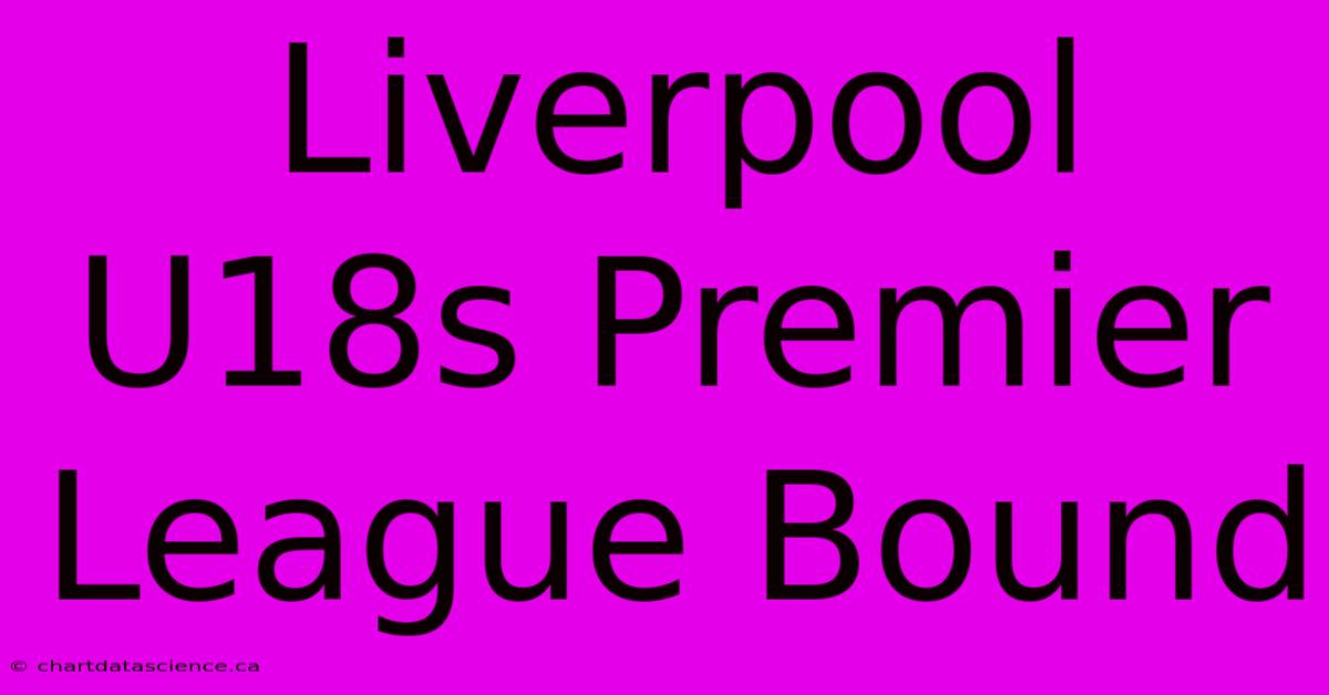 Liverpool U18s Premier League Bound