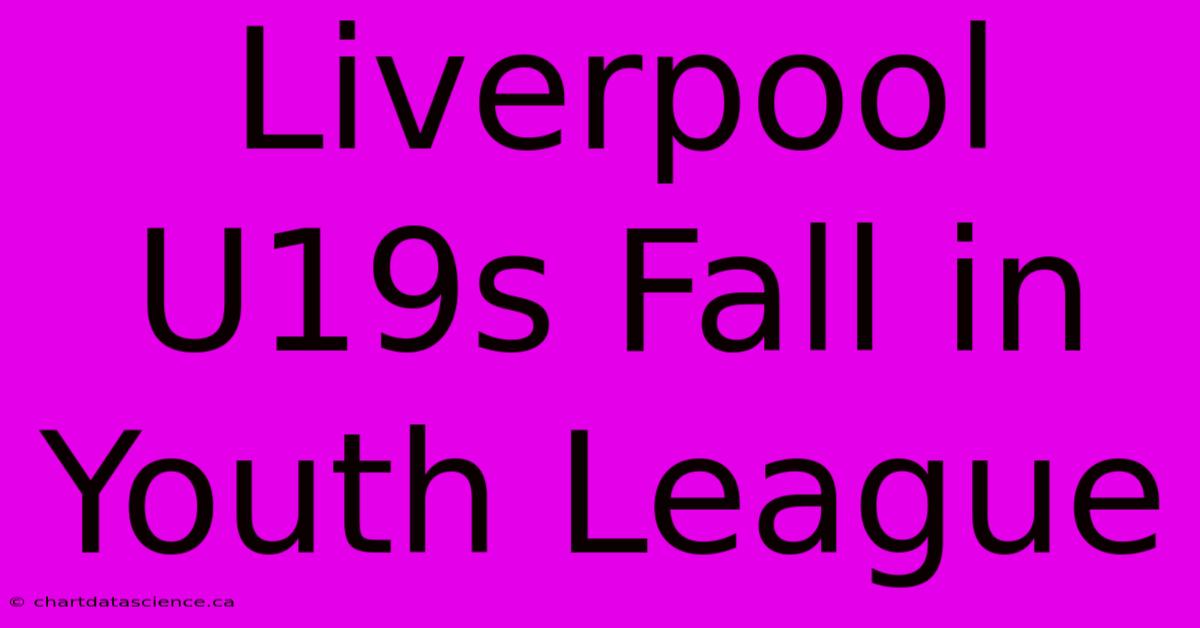 Liverpool U19s Fall In Youth League