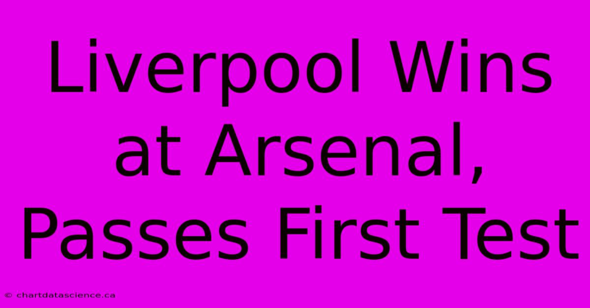 Liverpool Wins At Arsenal, Passes First Test