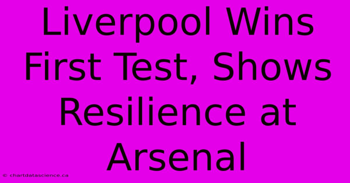 Liverpool Wins First Test, Shows Resilience At Arsenal