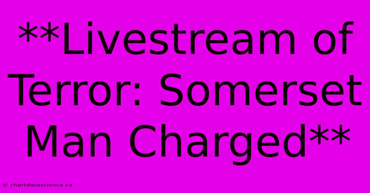 **Livestream Of Terror: Somerset Man Charged**