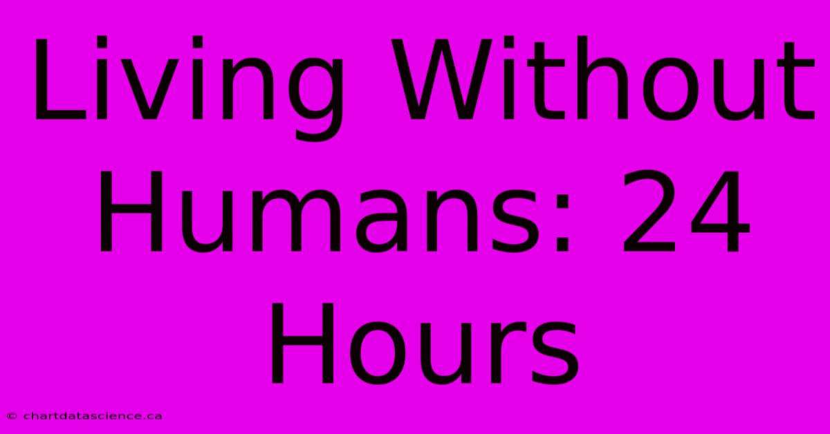 Living Without Humans: 24 Hours