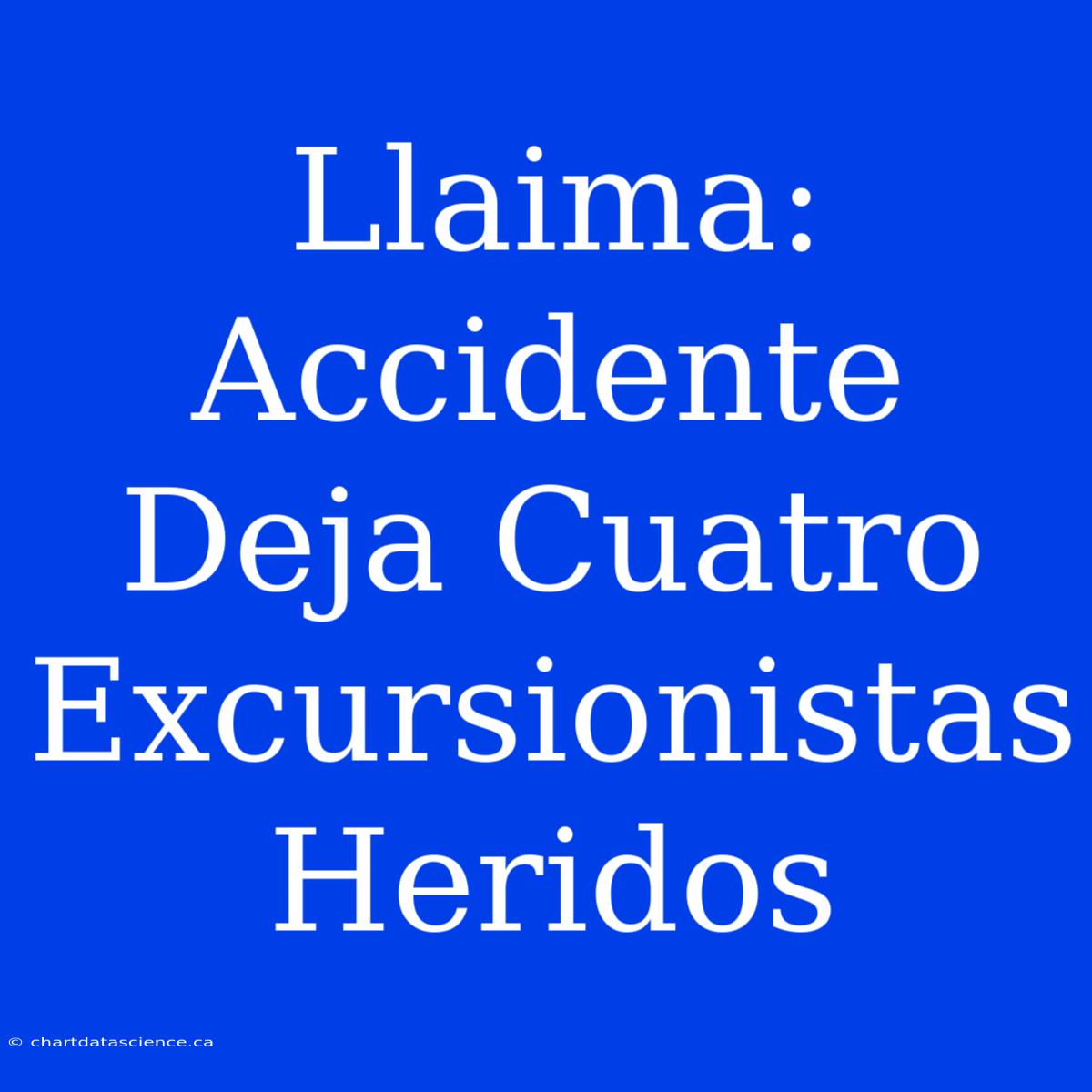 Llaima: Accidente Deja Cuatro Excursionistas Heridos