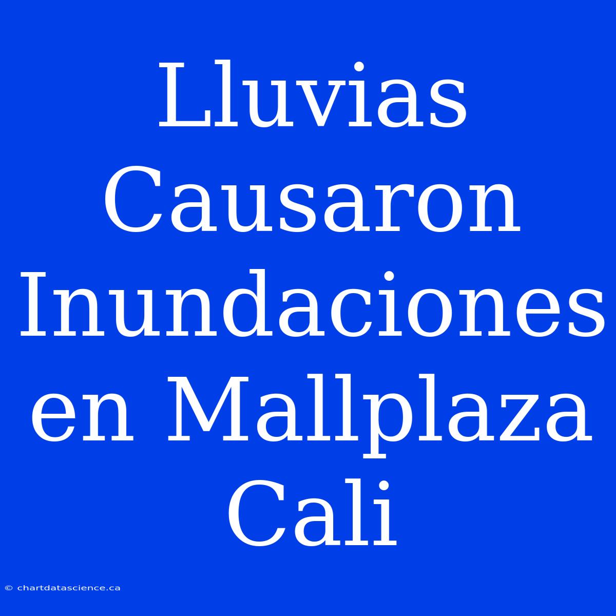 Lluvias Causaron Inundaciones En Mallplaza Cali