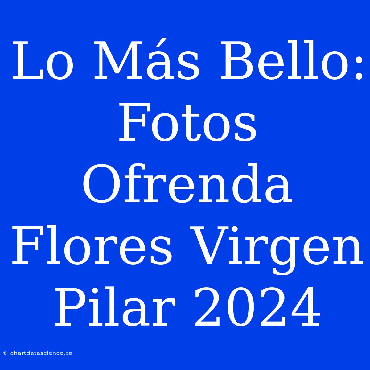 Lo Más Bello: Fotos Ofrenda Flores Virgen Pilar 2024